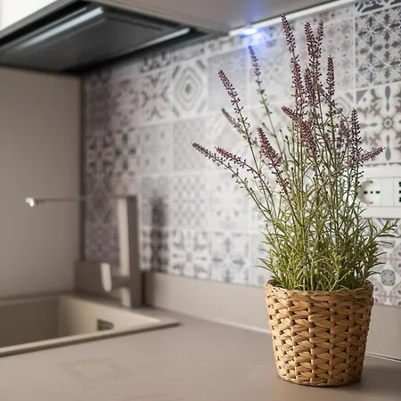 Ariosti A Un Passo Da Piazza Maggiore Apartman